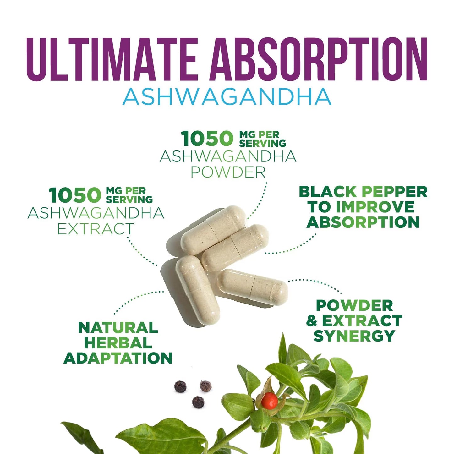 Ashwagandha Supplements - High-Absorption Ashwagandha Root Extract Powder with Black Pepper for Max Absorption - Herbal Supplement for Women & Men, Vegan & Gluten Free, Bottled in USA - 60 Capsules
